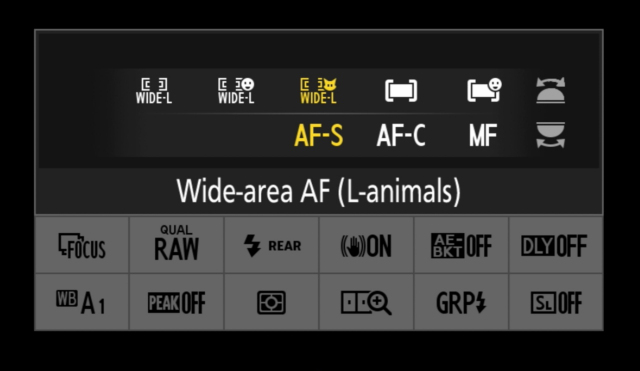 AF-lägen på Nikon-kameror utan spegel